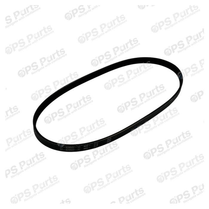 Alternator Belt - 828507Q11