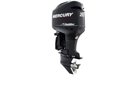 2-Stroke Outboard